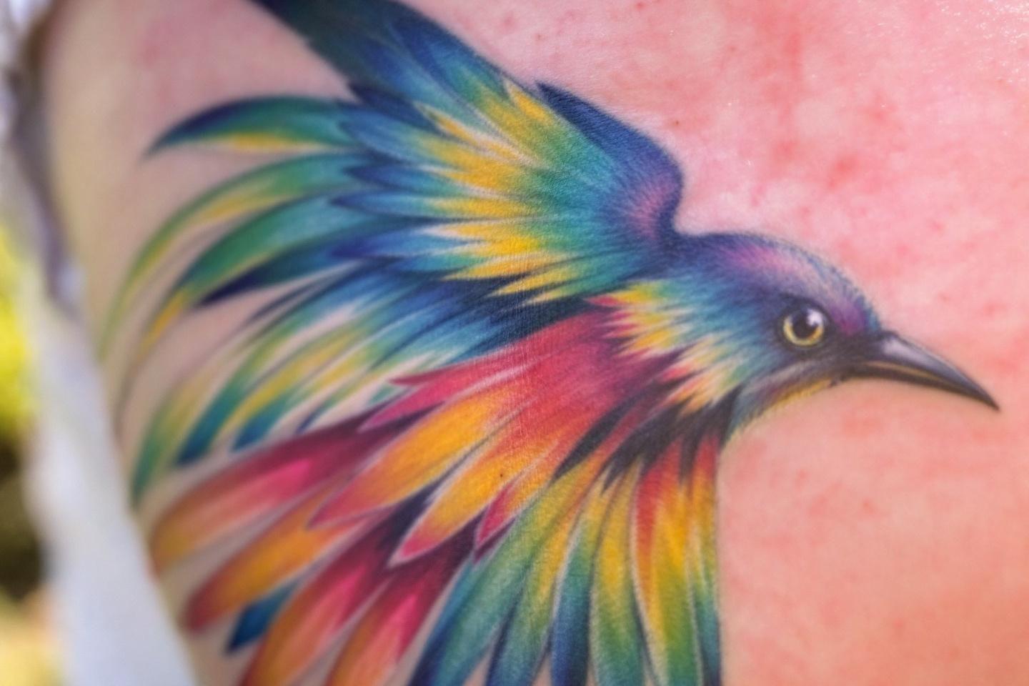 Signification et symbolique des oiseaux : liberté, tatouages et expressions populaires